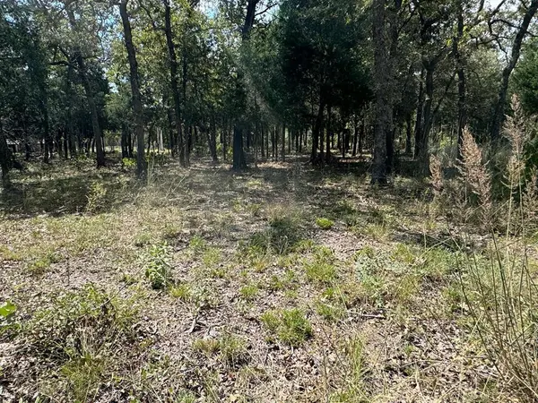 [Lot 1] 000 Jordan LN, Elgin, TX 78621
