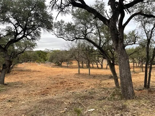 Spicewood, TX 78669