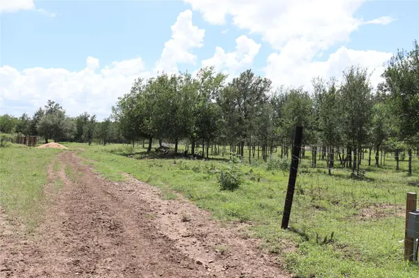1220 Brushy Branch RD, Lockhart, TX 78644