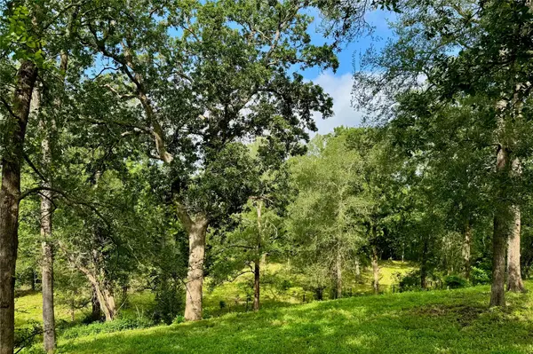 35471 Pontiac DR, Brookshire, TX 77423