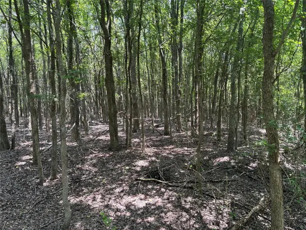 1500 Bottoms East RD, Troy, TX 76579