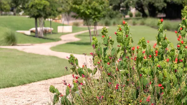 1420 Jolie Rose BND, Leander, TX 78641