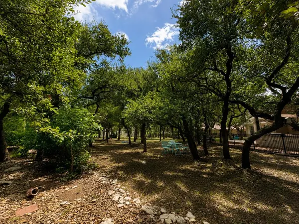 1007 Kieran CV, Georgetown, TX 78628