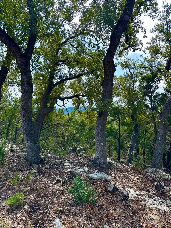 795 Cimarron, Spring Branch, TX 78070