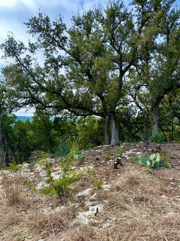 795 Cimarron, Spring Branch, TX 78070