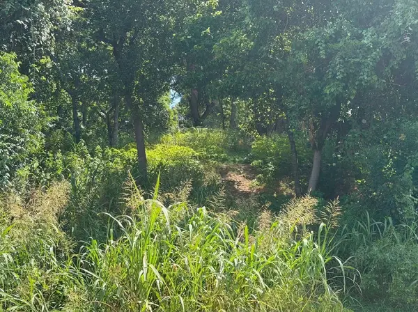 195 Kahana LN, Bastrop, TX 78602