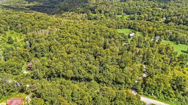 Dutch Hill RD, Roscoe, NY 12776