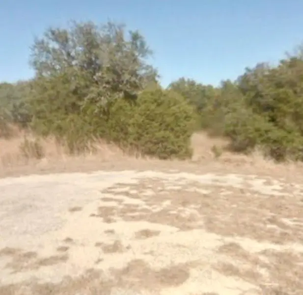 Address Not Disclosed