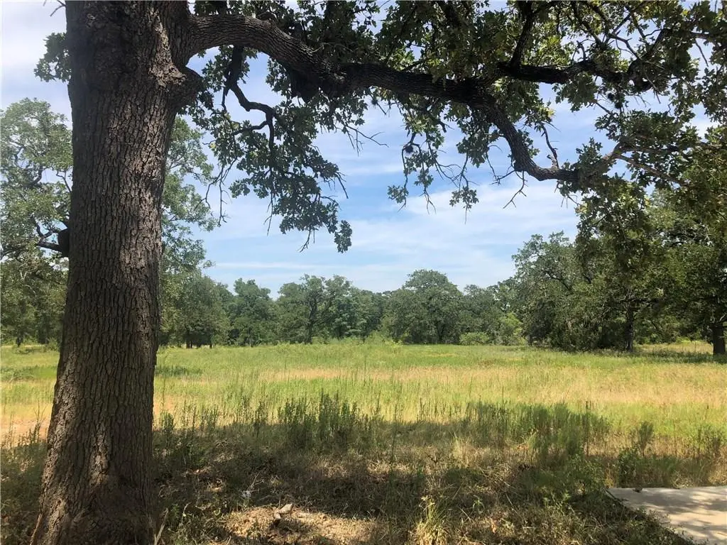 176 Hershal LN, Cedar Creek, TX 78612