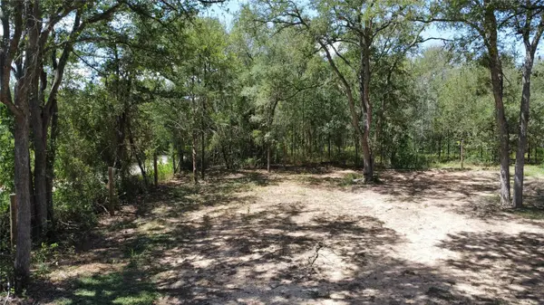 959 Carter RD, Dale, TX 78616