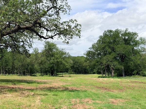 TBD FM 86 Tract 2 HWY, Luling, TX 78648