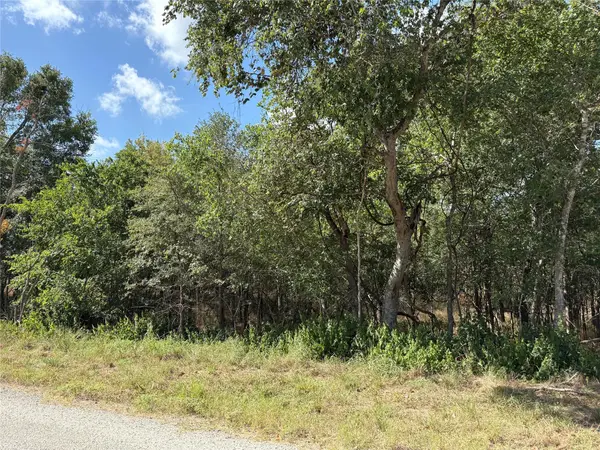 103 & 105 W Kikipua LN, Bastrop, TX 78602