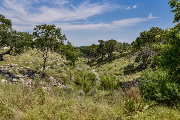 Address not disclosed, Dripping Springs, TX 78620