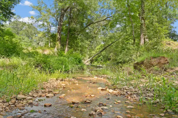 TBD (Tracts 11 & 12) St Delight RD, Paige, TX 78659