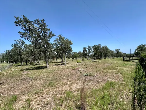 TBD Edgewood TRL, Paige, TX 78659