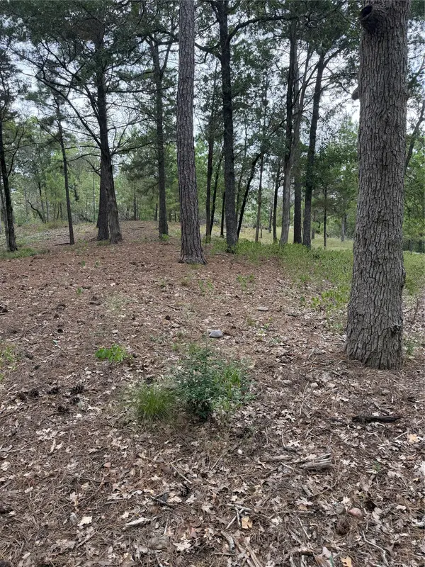 Lot 290 Aka CT, Bastrop, TX 78602