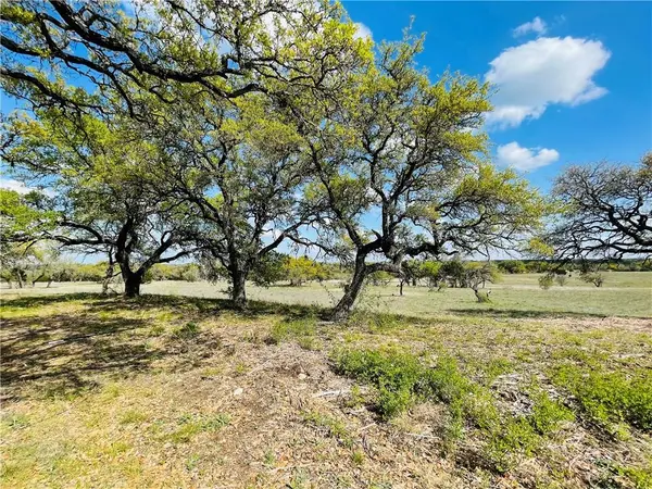 Lot 12 Cloudwood Ranch RD,  Briggs,  TX 78608