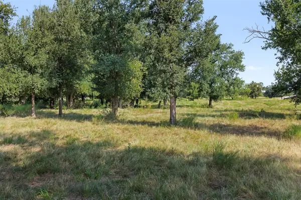 TBD FM 1176 S, Santa Anna, TX 76878