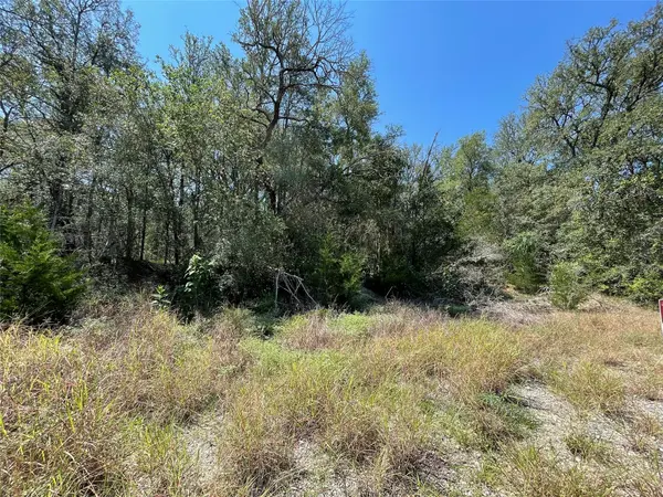 106 Waipio CT, Bastrop, TX 78602