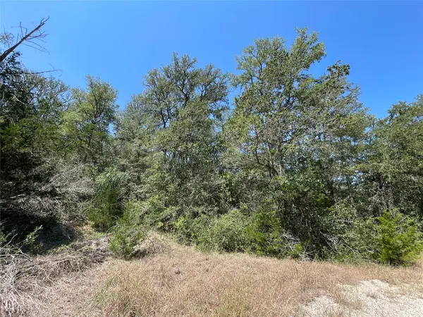106 Waipio CT, Bastrop, TX 78602