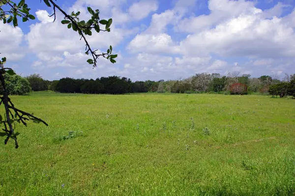 350 Apache Springs RD, Briggs, TX 78608