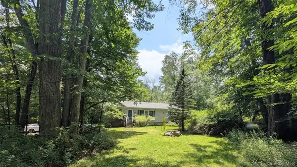 38 Hoffman RD, Narrowsburg, NY 12764