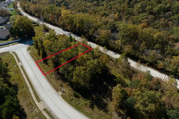 Lot 3 Redwine Avenue, Branson, MO 65616