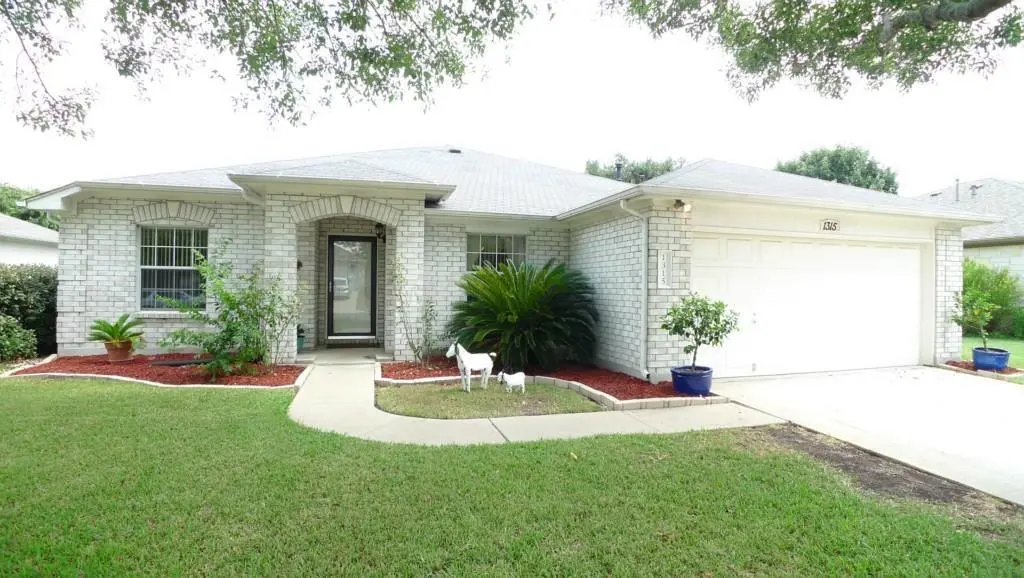 1315 Pigeon View ST, Round Rock, TX 78665