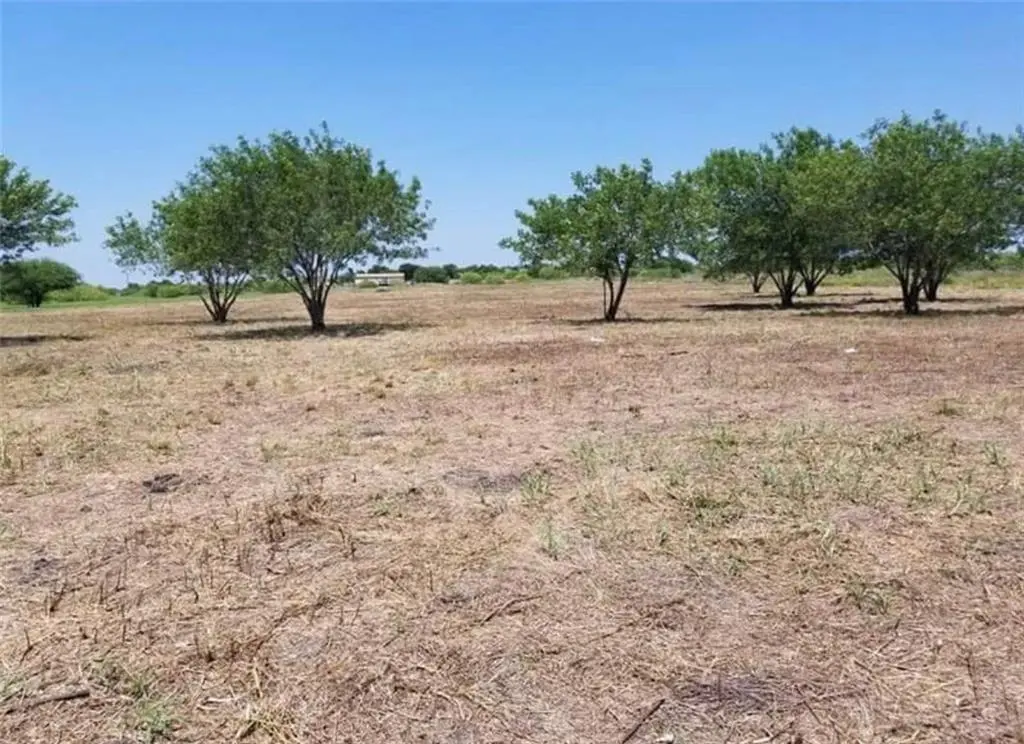 000 San Marcos HWY, Martindale, TX 78655