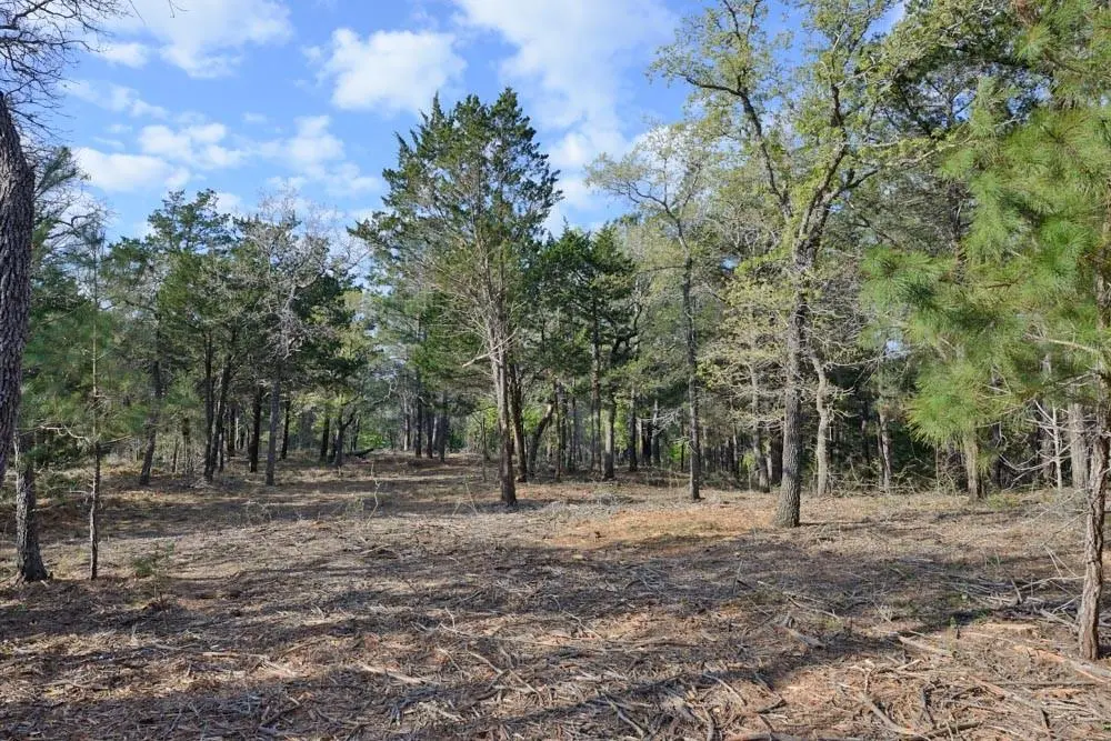 TBD Lot 3 Sandy RD, Rosanky, TX 78953