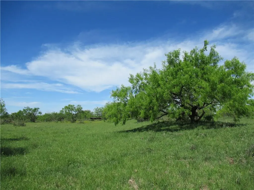 TBD County  Road 419 RD, Brady, TX 76872