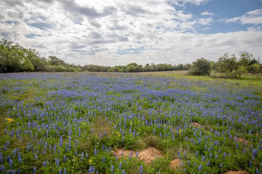 15234 Us Highway 90 W, Harwood, TX 78632