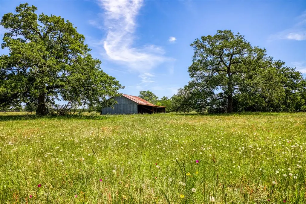 TBD (30 Acres) County Road 423, Somerville, TX 77879