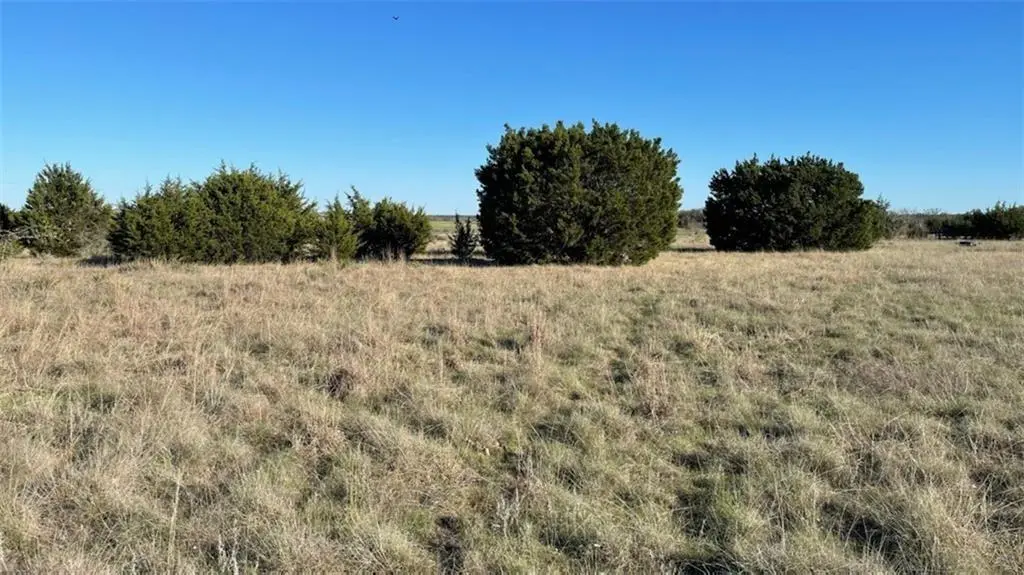 317 County Road 229 Lot 30, Briggs, TX 78608
