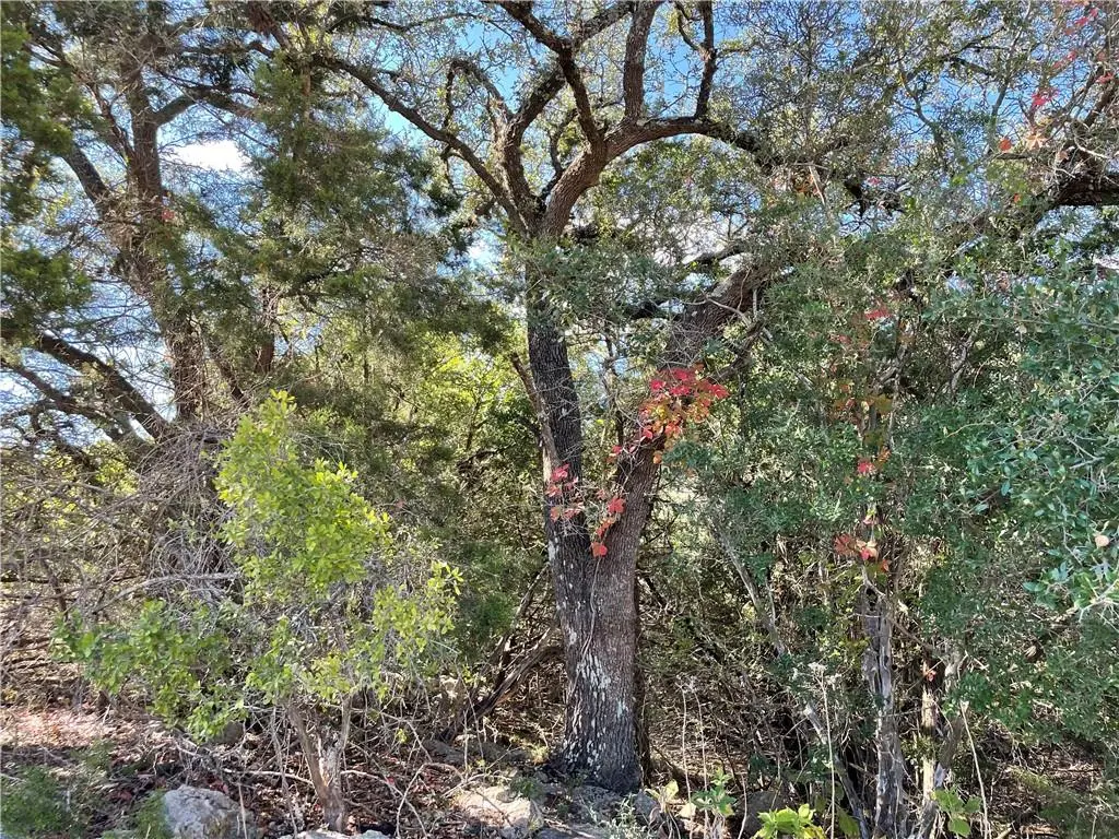 536 Abodar TRL, Spring Branch, TX 78070