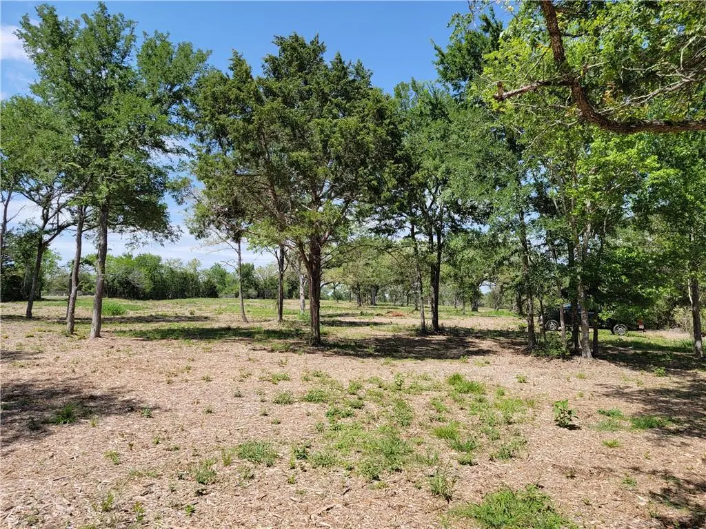 Tract 6 Jeddo Road, Rosanky, TX 78953