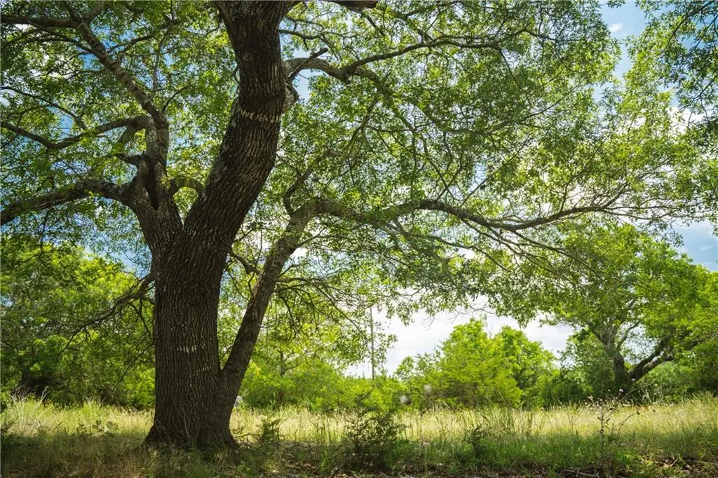 none FM 2843, Florence, TX 76527