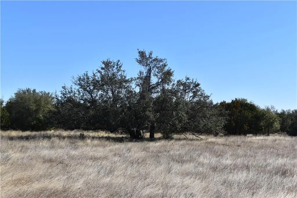 Lot 9 County Road 224, Briggs, TX 78608