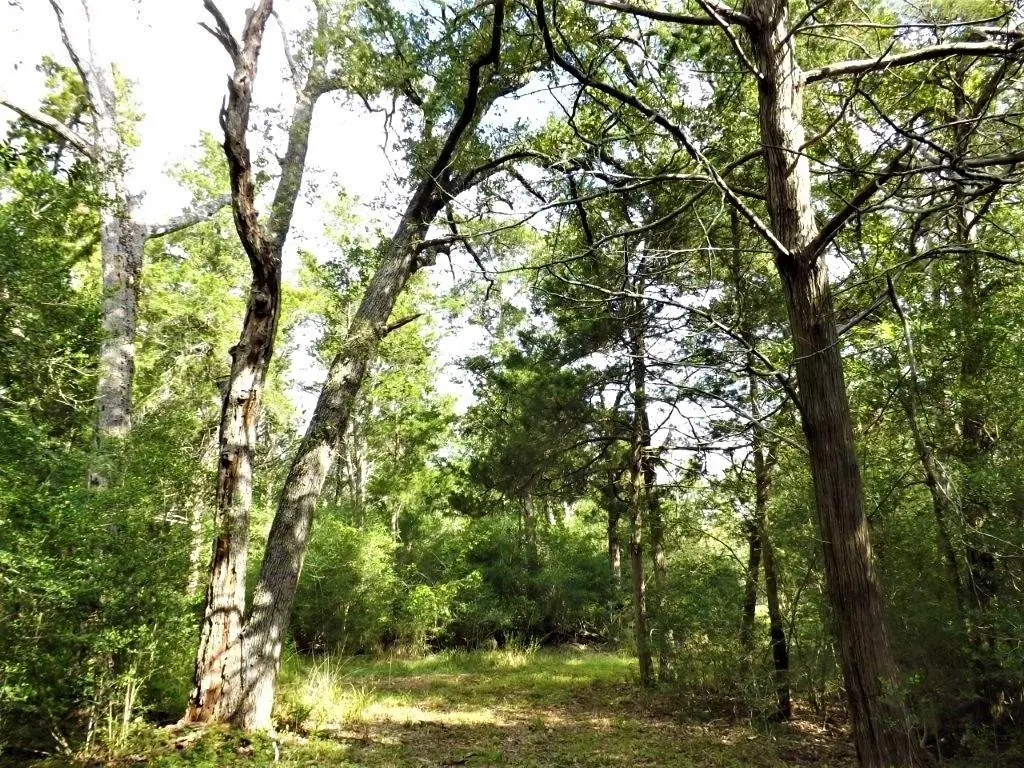1073 Mentzwood TRL, Alleyton, TX 78935