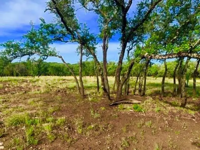 22501 HAZY HOLLOW CV, Spicewood, TX 78669