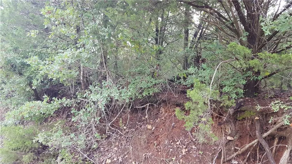 165 Haleakala DR, Bastrop, TX 78602