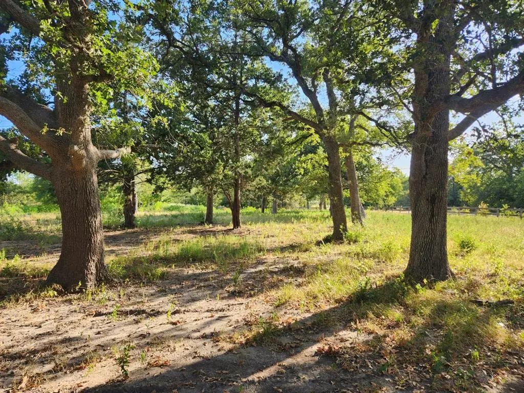 TBD Beaver Lake DR, Caldwell, TX 77836
