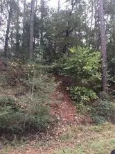 Address Not Disclosed