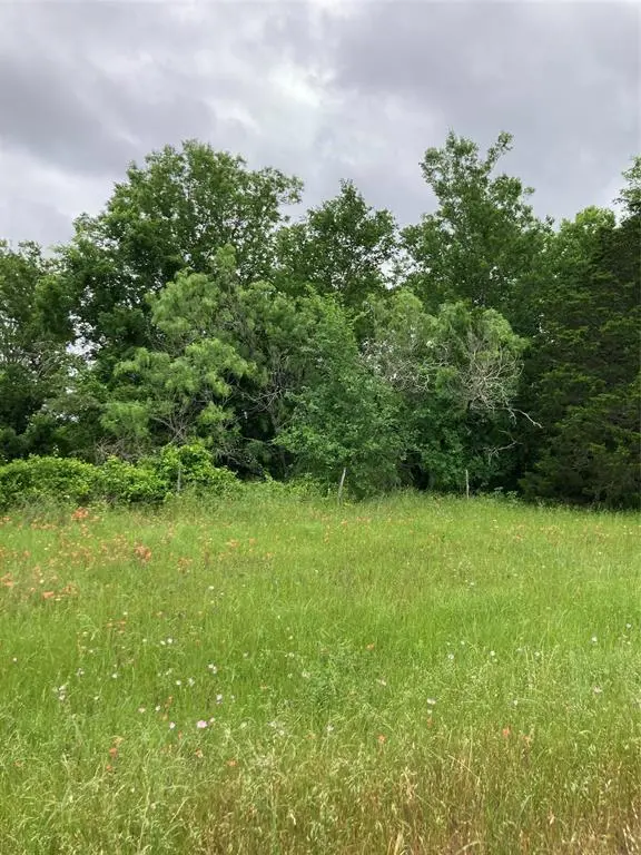 TBD Hwy 304 HWY,  Rosanky,  TX 78953