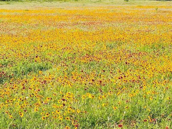 1471 Lutheran Church Rd Lot 9 Blk 1 RD, Copperas Cove, TX 76522