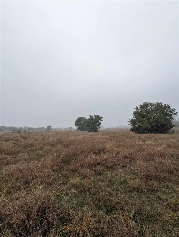 TBD Spotted Horse TRL,  Dale,  TX 78616