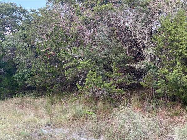 409 Buck Run PASS, Canyon Lake, TX 78133