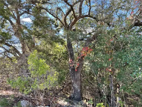 536 Abodar TRL, Spring Branch, TX 78070