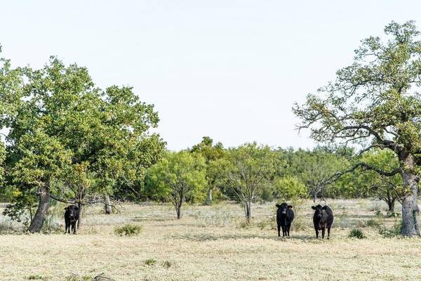 120 Craig RD,  Buchanan Dam,  TX 78609