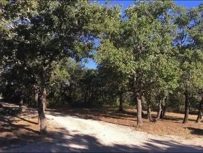 25450 HIGHWAY 206,  Bangs,  TX 76443